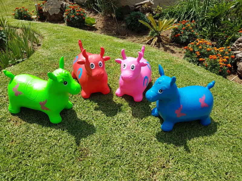 WhatsApp Image 2018-03-12 at 06.41.20